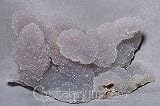 Chalcedony Quartz Stalactite Crystal Specimen-India