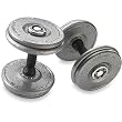 Hampton Fitness Gray Pro-Style Eclipse Dumbbells with Urethane Snug-Grip Handle- Pair