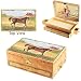 Stallion Stable Music
