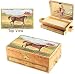 Stallion Stable Musical Treasure Box