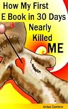 How My First E Book in 30 Days Nearly Killed Me