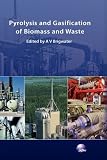 Pyrolysis and Gasification of Biomass and Waste