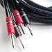 AudioQuest Type 4 Star Quad Gold BFA Speaker Cables - 6 ft. (1.82m) - 2-Pack