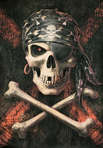LPG InternationalAnne Stokes Pirate Skull Fabric Poster Print, 30 by 40-Inch