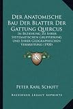 Produkt-Bild: Der Anatomische Bau Der Blatter Der Gattung Quercus: In Beziehung Zu Ihrer Systematischen Gruppierung Und Ihrer Geographischen Verbreitung (1900)