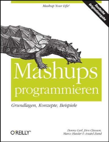 Mashups programmieren und wirtschaftlich nutzen