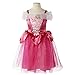 Disney Princess Sleeping Beauty Dress