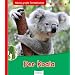 Der Koala: Meine gro�e Tierbibliothek