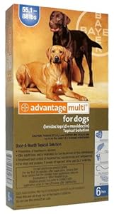 Advantage Multi Canine (Blue) - 55.1-88 lbs - 6 count