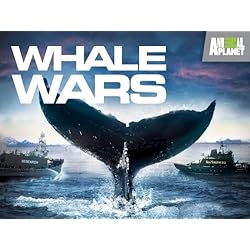 Whale Wars Season 1