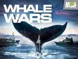 Whale Wars Season 1