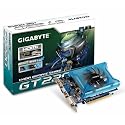 1GB Video Card