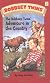 Bobbsey Twins Adventure in the Country