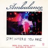 Stay Where You Are [7" VINYL]
