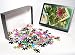 Photo Jigsaw Puzzle of Plants used for herbal medicine from Science Photo Library