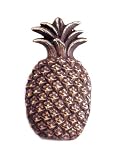 Pineapple Hidden Doorbell