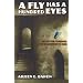 A Fly Has A Hundred Eyes