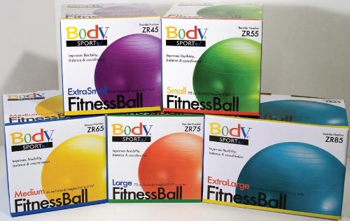 Body Sport Exercise Ball - With Pump and Wall Chart
