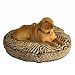 Odonnell Industries 18746 Luxury Medium Round Dog Bed - Black-White Odonnell Industries 18746 Luxury Medium Round Dog Bed - Black-White