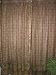 Drapes Curtains 2 American Rose Paisley Window Panels 84 Inch