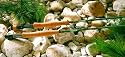 St. Croix Avid Series Fly Rods Model: A906.4 (9' 0", 6 wt., 4 pc.)