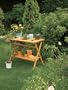 ACE Trading - Wf - Adirondack 50107908 "Astonica" Compact Potting Bench, Stained Finish