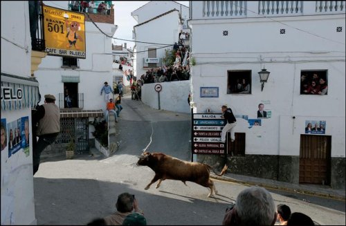 Cover image : Andalucia 2009.