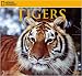 Tigers 2009 National Geographic Wall Calendar
