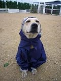 ズッコケ見習い警察犬きな子がいく!
ジュリアン (ジュリアン)