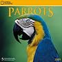 National Geographic Parrots 2009 Calendar