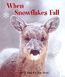 When Snowflakes Fall