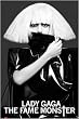 Lady Gaga - Music / Personality Poster (The Fame Monster - White Hair) (Size: 24" x 36")