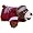 Montana Grizzlies