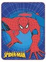Spiderman 'Spidey'S Web' Fleece Blanket