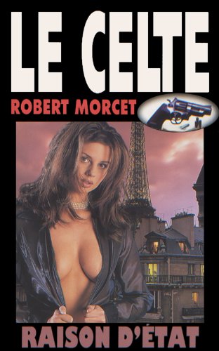 Raison d'État (Le Celte t. 11) (French Edition)