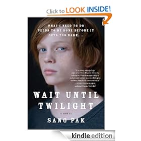 Wait Until Twilight