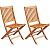LuuNguyen - Win Outdoor Hardwood Folding Chair (Natural Wood Finish), Set of 2
