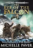 The eye of the falcon