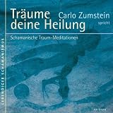 Träume deine Heilung: Schamanische Traum-Meditationen