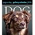 Dog Page-A-Day Gallery Calendar 2016