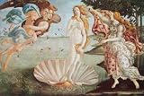 Birth Of Venus Art Print Poster By Sandro Botticelli, 36  x 24 