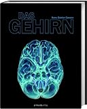 Produkt-Bild: Das Gehirn