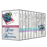 Forget Me Not Romances #2: 10 Authors comprising, Christian contemporary romance, historical romance, and cozy mystery (Forget Me Not Romances Collection)