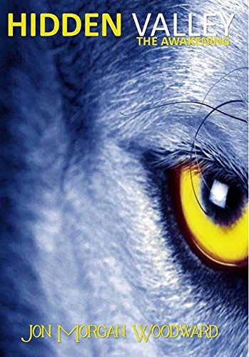 Hidden Valley: The Awakening