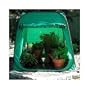 Heated Plant Guard-Protects Your Plants From Frost