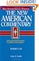 The New American Commentary: Isaiah 1-39, Vol. 15A (New American Commentary)
