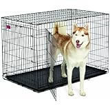 MidWest Homes for Pets Life Stages ACE Double Door Dog Crate, 48-Inch