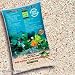 Bio-Active Live Aragonite Reef Sand 20lb (2pc)