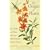 The Origin of Plants: The People and Plants That Have Shaped Britain's Garden History Since the Year 1000