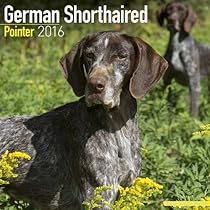 German Shorthaired Pointer Calendar - Only Dog Breed German Shorthaired Pointer Calendar - 2016 Wall calendars - Dog Calendars - Monthly Wall Calendar by Avonside German Shorthaired Pointer Calendar - Only Dog Breed German Shorthaired Pointer Calendar - 2016 Wall calendars - Dog Calendars - Monthly Wall Calendar by Avonside